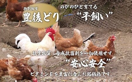 博多 水炊きセット (約2人前) 糸島市 / 博多 浜や [AFF036] 水炊き 鍋 鶏肉 鶏 博多水炊き 2人前 お鍋 浜や 豊後どり 博多 鍋セット