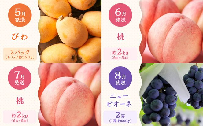 【定期便全12回】旬果厳選！四季を味わう単品定期便♪ 372013_GM024