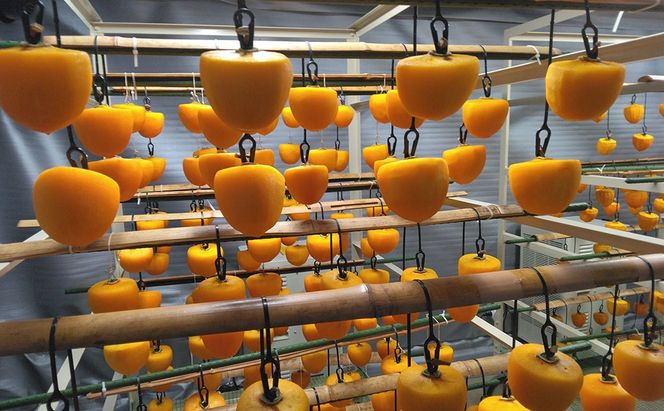 【山梨県産】甲州百目柿 あんぽ柿【大】（干し柿）２０個　干柿 ほし柿 ドライフルーツ 山梨 やまなし 富士川町