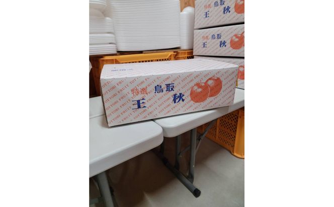 【先行予約】岸田秀果園 王秋 (ギフト用)5kg 313726_CY016