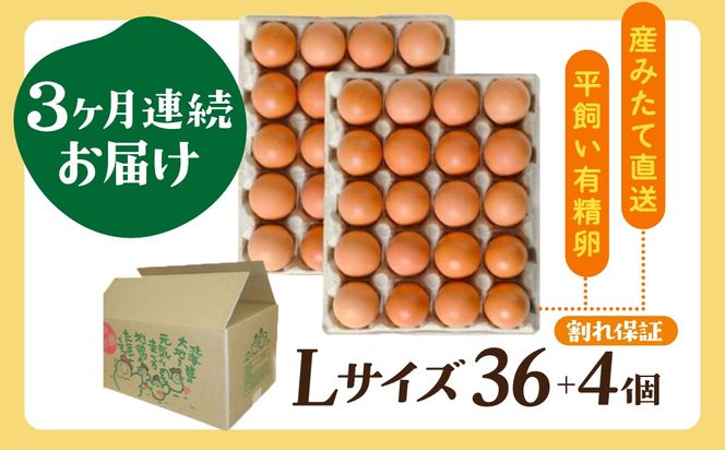 3ヵ月連続お届け  たまごの心 40個 Lサイズ  太陽の園  の平飼たまご  有精卵 北海道 伊達市 たまご 卵 生たまご 鶏卵 北海道産 鶏の卵 ポリスブラウン 食材 卵かけごはん TKG オムレツ オムライス 【農福連携】