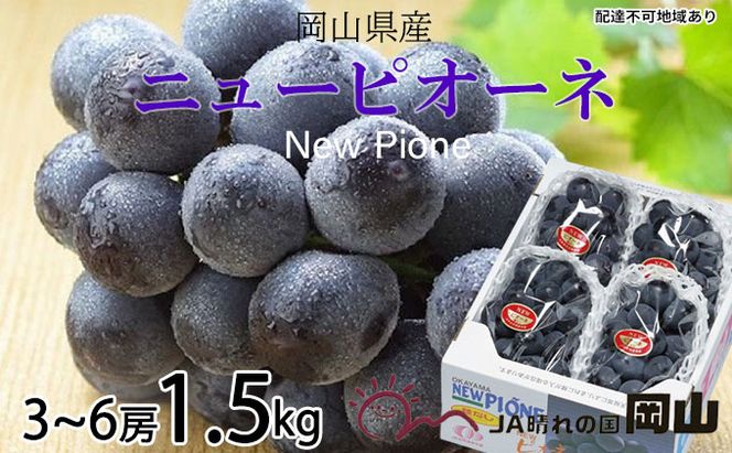 ぶどう 2026年 先行予約 ニュー ピオーネ 3房～6房 約1.5kg ブドウ 葡萄  岡山県産 国産 フルーツ 果物 ギフト 果物類 