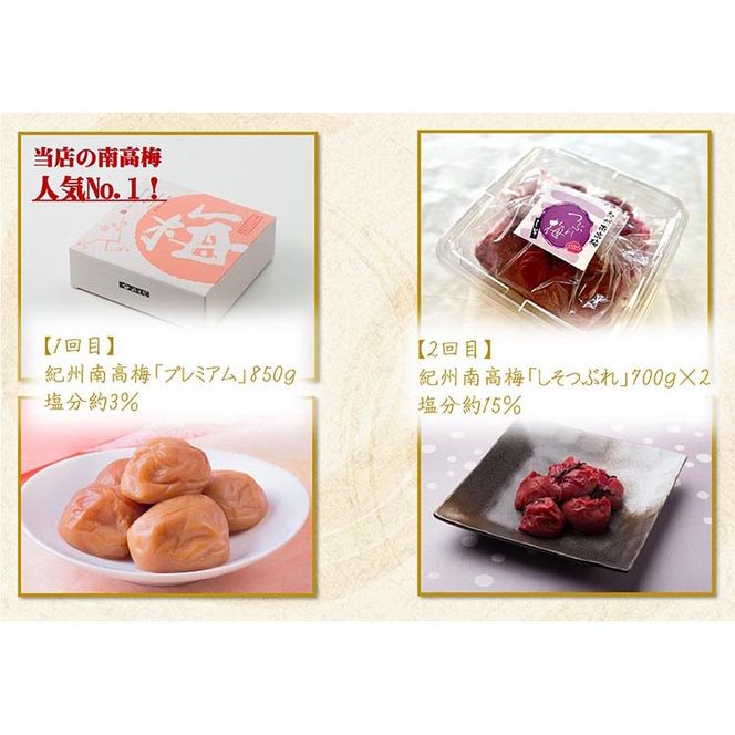 【定期便/毎月配送/全10回】やまだ厳選10品