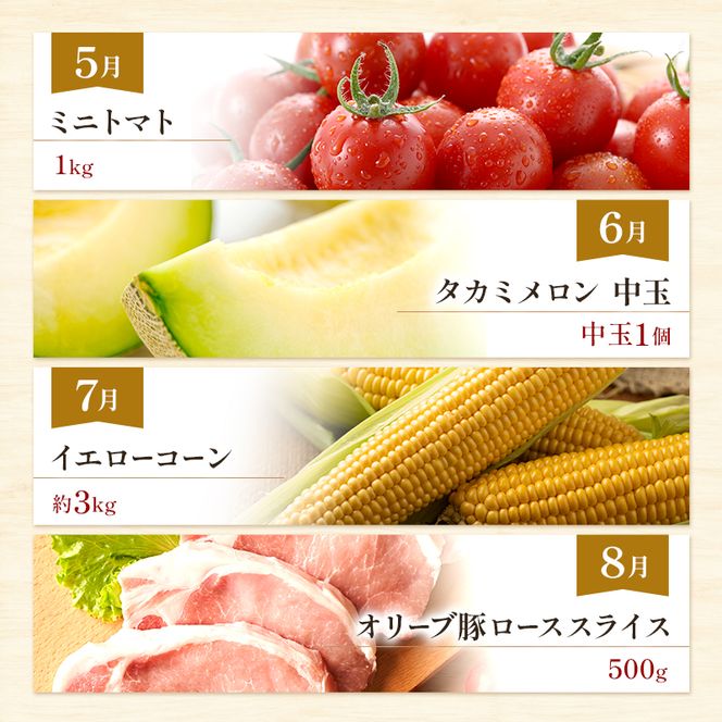 東かがわ市ちょこっと定期便(12回) みかん いちご 讃岐うどん アスパラ トマト メロン コーン 豚肉 シャインマスカット 卵 キウイ 黒毛和牛 香川