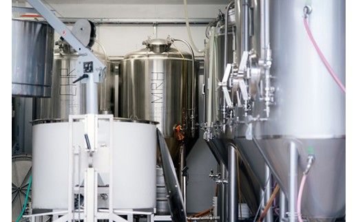 TWO RABBITS BREWING クラフトビール＜キウイ IPA×6本セット＞【DN07W】
