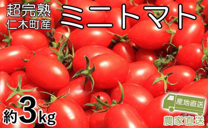 8月発送開始[先行受付] 超完熟ミニトマト【アイコ】3kg 栽培期間中 農薬・除草剤不使用 サイズ混載 トマト ミニトマト アイコ 野菜 北海道 仁木町 [アイコファーム] 