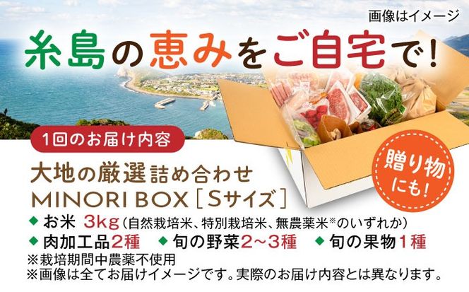 【全12回定期便】糸島産 肉 米 野菜 果物 厳選詰め合わせ MINORI BOX Sサイズ 糸島市 / emma.Inc / 米 肉 野菜 果物 詰め合わせ[AOP010]