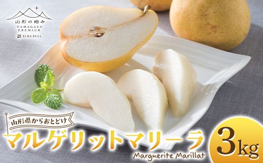 FYN6-447【山形の極み】 贈答用 山形県産 西洋梨 マルゲリットマリーラ 3kg(6～9玉) 2026年9月下旬から順次発送 西洋なし 洋なし 秋果実 果物 くだもの フルーツ 化粧箱 ギフト箱 贈答 贈り物 ギフト プレゼント 自宅 家庭 山形県 西川町 月山 