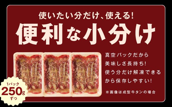 099H3158 ねぎ塩 牛タン 食べ比べセット 合計 1kg（牛タン 500g／成型牛たん 500g）