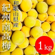 黄色～完熟梅 南高梅 1kg DJ066