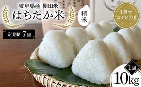 【7回定期便】岐阜県産 棚田米 1等米コシヒカリ はちたか米 精米10kg（5kg×2袋） F4N-2592
