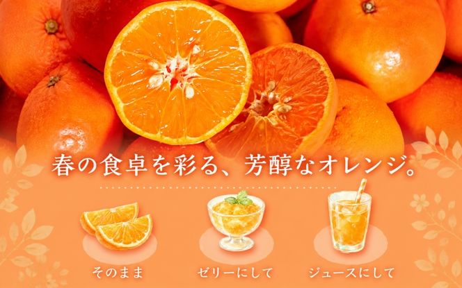 ジューシー柑橘　セミノールオレンジ　5kg【5月上旬～5月下旬頃発送予定】【uot869】