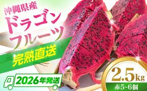【2026年発送 先行受付】 農家直送！南国の果物 ドラゴンフルーツ 2.5kg 火龍果 果物 フルーツ デザート お取り寄せ 沖縄市 / タカエス フルーツ＆ベジタブル [BCBH002]