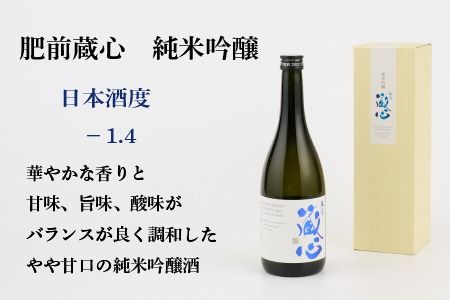 TheSAGA認定酒 純米吟醸酒おまかせ2本セット 【佐賀県産 佐賀認定酒 店主 こだわり ギフト 贈答 プレゼント】(H072174)
