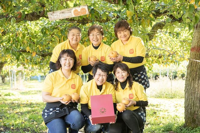 【令和8年度 早期受付】南水 5kg 10玉～14玉 梨 なし ナシ 秋田県 男鹿市 旬の果物 フルーツ|23_fre-060501