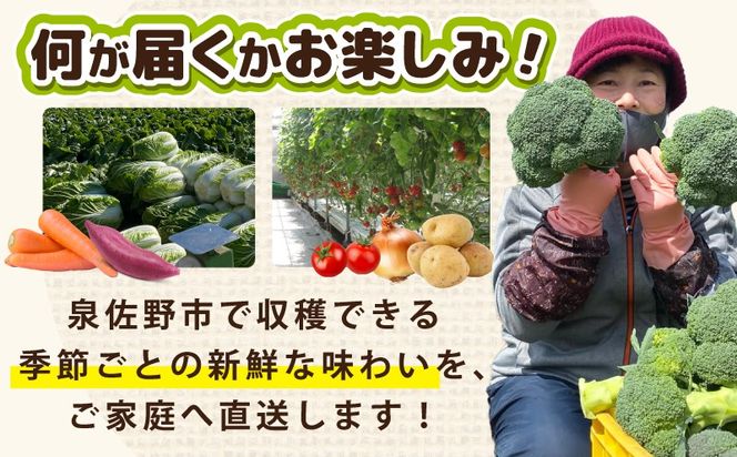 G3452 季節の野菜セット 2～7種類【国産 新鮮 おまかせ 詰め合わせ】