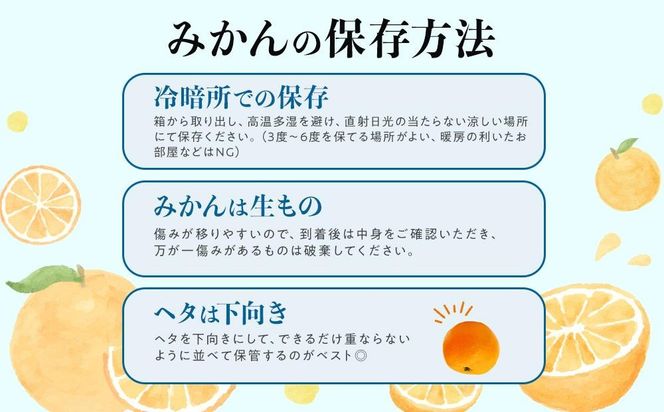 先行予約早生みかん 約6kg（約3kg×2箱）サイズ混合 和歌山県 有田みかん 2025年11月中旬頃発送 	EF17