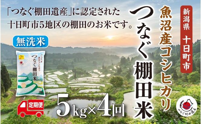 【令和8年産 先行予約】【定期便／全4回】無洗米5kg　新潟県十日町市魚沼産コシヒカリ「つなぐ棚田米」  米 こしひかり 無洗米 定期 十日町市