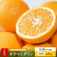 【2027年先行予約】和歌山県産　カラマンダリン　約3kg　家庭用_ZE6502