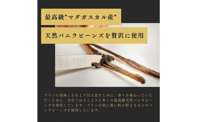 プリン専門店Totto PURIN プリン食べ比べ9個セット 312011_DD013