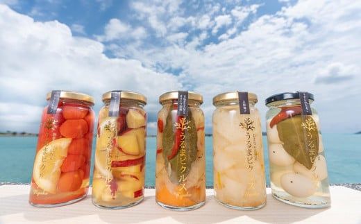 【龍華】うるまピクルス　3本セット