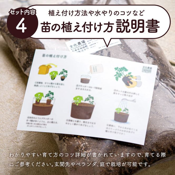 011BK01N.はじめての家庭菜園キット「サラダガーデン」（プランター色：ブラック）
