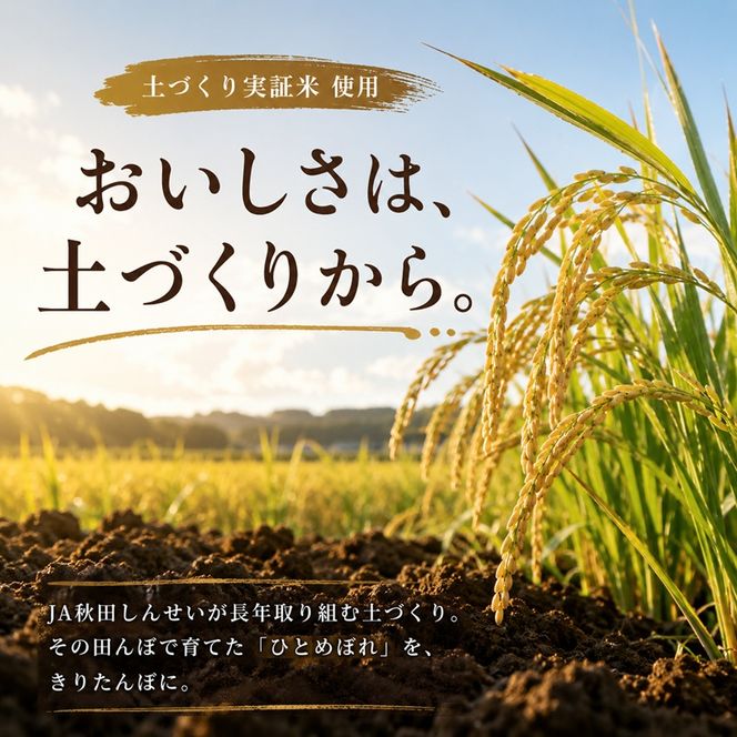 きりたんぽ鍋セット 2～3人前 きりたんぽ 鍋 セット 郷土料理 秋田 比内地鶏 スープ 野菜具材付き 冷蔵 JA秋田しんせい にかほ市 お取り寄せ グルメ 鍋セット 本格 おうち鍋 ギフト プレゼント 贈り物 贈答用 冷蔵便 送料無料