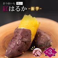 【2026年9月より順次発送】農産物直売所「やさいの声」さつまいも　紅はるか　新芋　洗い　約3kg|さつまいも サツマイモ 紅はるか 洗い 行方市 ふるさと納税(EK-8)