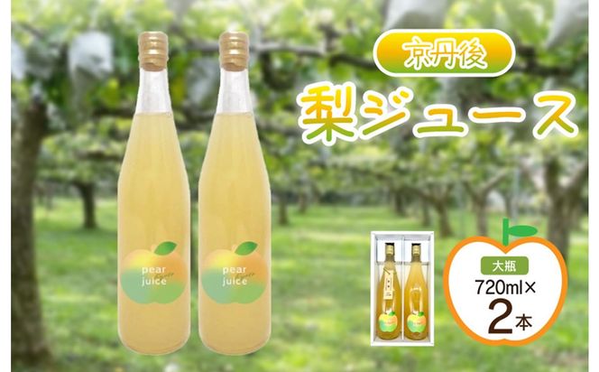 【先行予約】京丹後の梨ジュース 大瓶2本入り（2025年10月下旬～発送） 瓶 ジュース 国産 梨 なし ナシ ジュース ドリンク 飲料 果汁 京都 京丹後 ふるさと納税 梨ジュース　SF00016