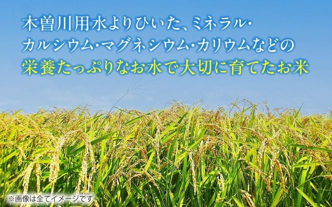 【3回定期便】あいちのかおり 白米 10kg×3か月 / 脇野コンバイン[AECP007]