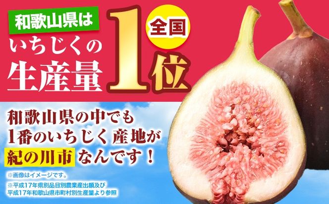 いちじく 完熟いちじく 約600g ( 300g × 2パック ) お試し パック いちじく イチジク 無花果 JAわかやま 紀の里地域本部《2025年9月上旬-11月上旬頃出荷》 和歌山県 紀の川市 青果物 果物 くだもの フルーツ スイーツ---wsk_cjak24_9j11j_24_7000_600g---