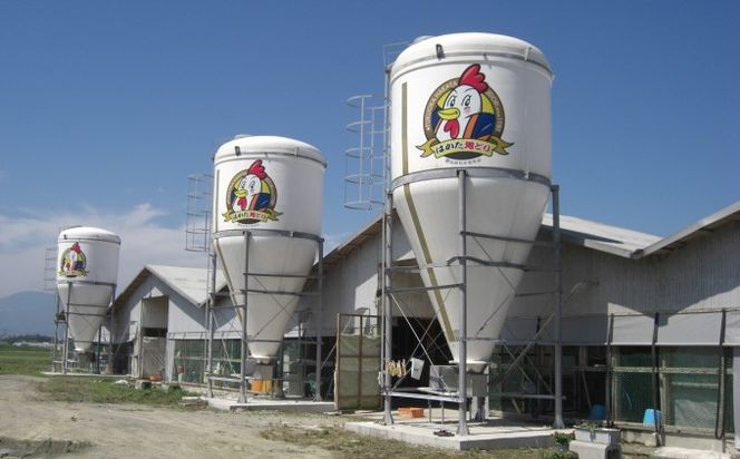 はかた地どり水炊きセットＢ 鍋セット水炊き 鶏肉水炊き ※配送不可:離島