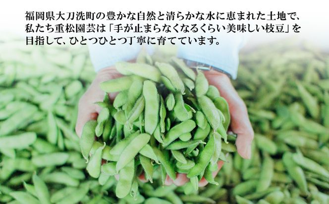 枝豆 【2026年6月発送】枝豆200g×20袋 合計4kg 福岡県大刀洗町産 豆 えだまめ 焼き枝豆 お弁当 おつまみ ※配送不可:北海道・沖縄・離島