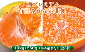〈定期便〉【10・11・12月 全3回】極プレミアム 有田みかん定期便 10kg+250g （傷み補償分） ※北海道・沖縄・離島への配送不可