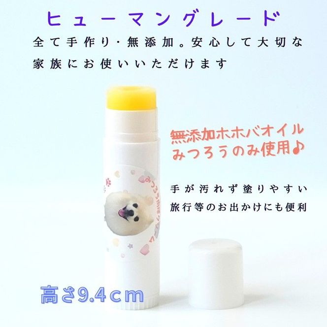 【ペット専用】うちの子ケアセット オリジナルプチ缶1個+うちの子専用肉球Bigリップクリームセット 《 犬 ケア みつろう リップクリーム 缶 セット 詰め合わせ オリジナル ホホバオイル 》【2400N13305】