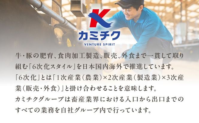 【A5和牛・豚・ホルモン】焼肉セット900g　K002-055