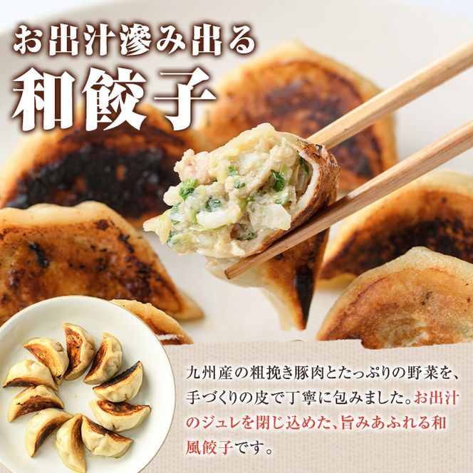 ＼テレビで紹介されました！／お出汁滲み出る和餃子(計48個・12個入り×4袋) 餃子 生餃子 ギョウザ ぎょうざ ギョーザ セット 詰め合わせ おかず お惣菜 冷凍 和風 水餃子【餃子のはま田】akn096-01