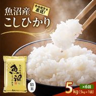 【令和8年産 先行予約】「6カ月定期便」食味鑑定士厳選！魚沼産こしひかり 5kg×6回 白米 安心 米 コシヒカリ 定期 新潟県 十日町市