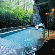 AP6008n_二ノ丸温泉 入浴券5枚【チケット 券 温泉 旅館 トラベル お風呂】