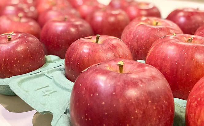 りんご 先行予約 贈答用 サンふじ 特秀 10kg フルーツ 果物 ギフト 2026年 12月発送
