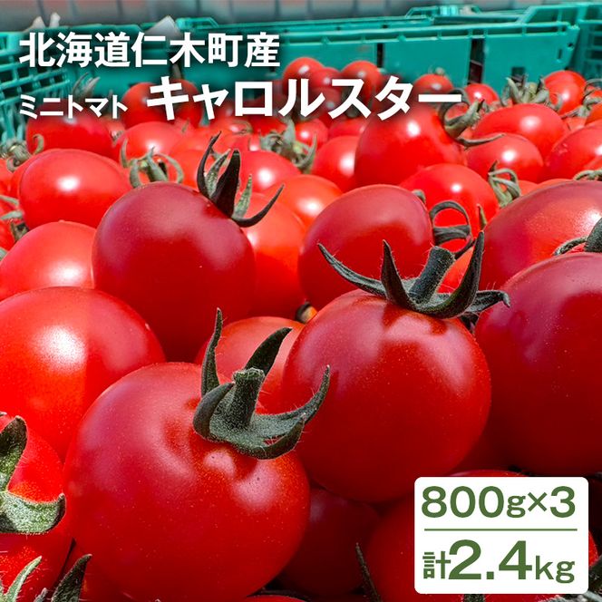 [2026年発送] 北海道 仁木町産 ミニトマト キャロルスター 2.4kg （96粒～150粒）トマト 野菜 国産 プチトマト 甘み 使いやすい サラダ お弁当 家庭用 子供に人気 リコピン [REDA FARM]