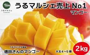 【ふるさと納税】徳田さんの最高級贈答用マンゴー　大玉4～5個　【 先行予約 2026年発送 】