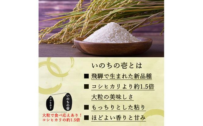 定期便 12ヶ月 ベストファーマーズ賞受賞 いのちの壱 白米 2kg 無農薬 令和7年産 米 お米 チャック付 チャック 小分け  産地直送 長野 定期 12回
