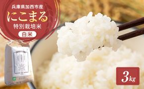 令和7年産 特別栽培米 にこまる 白米 3kg 精米 お米 こめ コメ ごはん ご飯 単一原料米