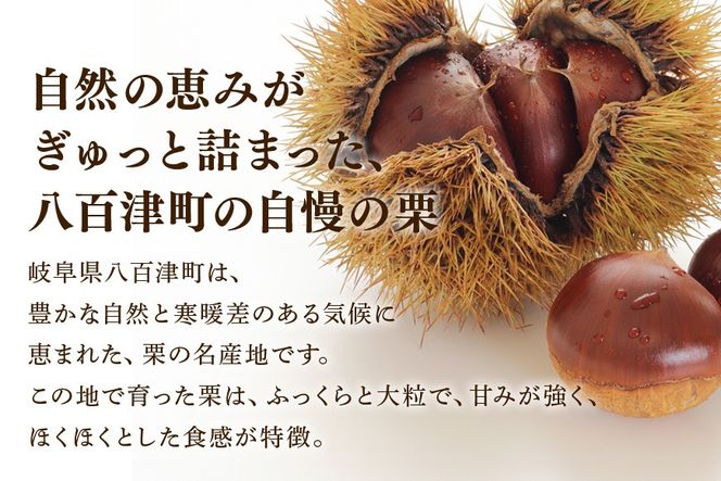 398.栗ぃむ大福 10個入り「藤乃屋」