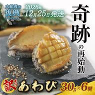 【2026年12月25日発送！！】 奇跡の再始動 訳あり三陸翡翠あわび 30g×6個 冷凍 蒸し鮑 鮑 青空レストラン 蝦夷あわび あわび アワビ 鮑 Abalone ステーキ バターソテー 正月 お正月 おせち バーベキュー BBQ ごはん 夕飯 おかず おつまみ 晩酌 米 丼 海産物 海鮮 魚介 魚介類 贈答品 お中元 お歳暮 大船渡 三陸 岩手県 国産