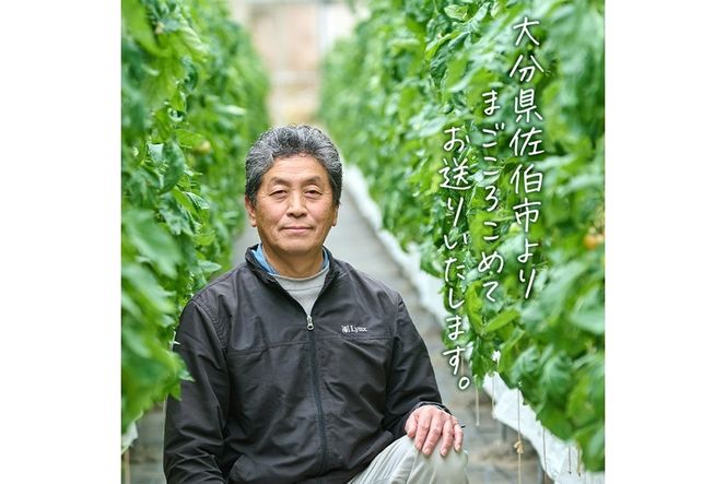 ＜先行予約受付中！2026年3月より順次発送予定＞塩熟トマト KitachiRosso (計600g) 糖度10度以上 塩トマト 塩とまと とまと トマト 野菜 大分県 佐伯市 九州産 国産 お取り寄せ 大分県 佐伯市【AK6h】【げんきファーム】