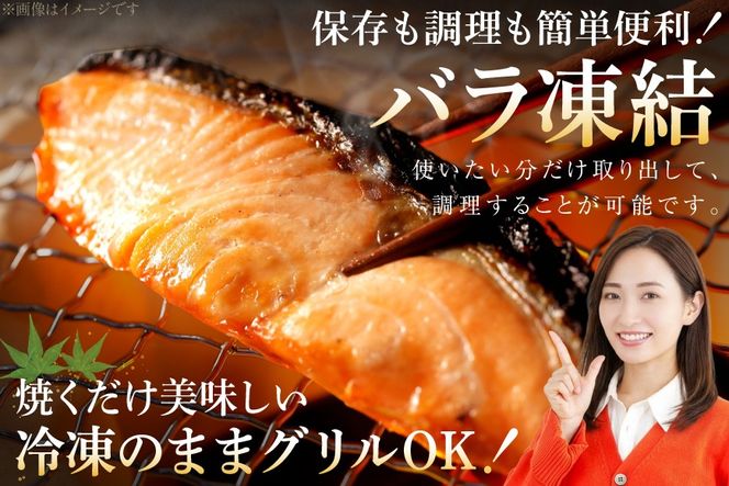 【CF03】訳あり 銀鮭 切身 約3kg [宮城東洋 宮城県 気仙沼市 20564992] 鮭 魚介類 海鮮 訳アリ 規格外 不揃い さけ サケ 鮭切身 シャケ 切り身 冷凍 家庭用 おかず 弁当 支援 サーモン 銀鮭切り身 魚 わけあり