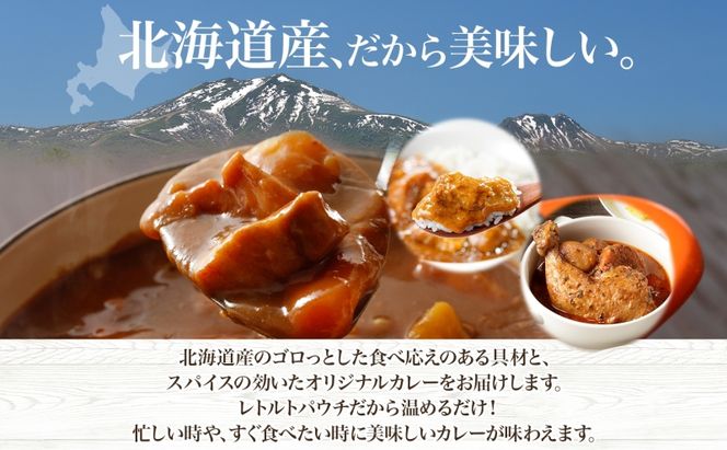 倶知安 チキンレッグスープカレー 計10個 中辛 北海道 レトルト 食品 チキンカレー スープカレー 野菜 じゃがいも 鶏 チキン お取り寄せ グルメ スパイシー 