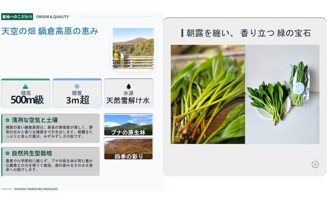 【令和9年産先行予約】＼訳あり／行者にんにく 忍 500g入り 1箱(70枚～75枚)《出荷時期：2027年5月中旬頃〜》株式会社ForestDoor  (Ce-014)